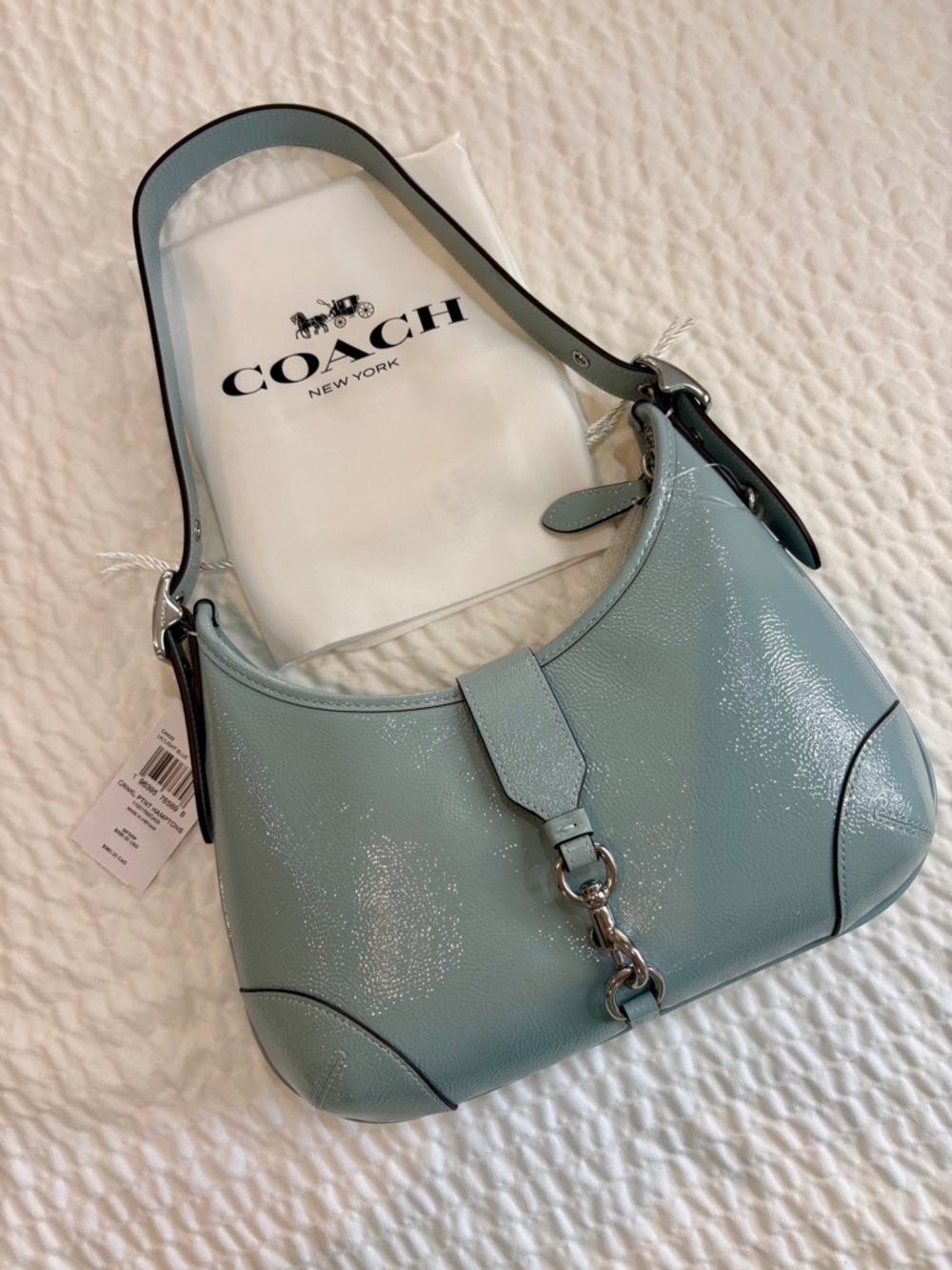 Coach Hamptons Hobo Bag & Coach Dust Bag GORGEOUS 2005 Rendition NWT CAN33